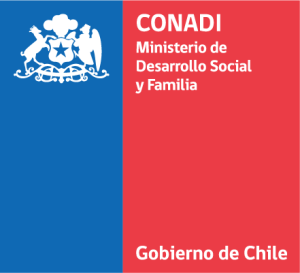 Logo CONADI