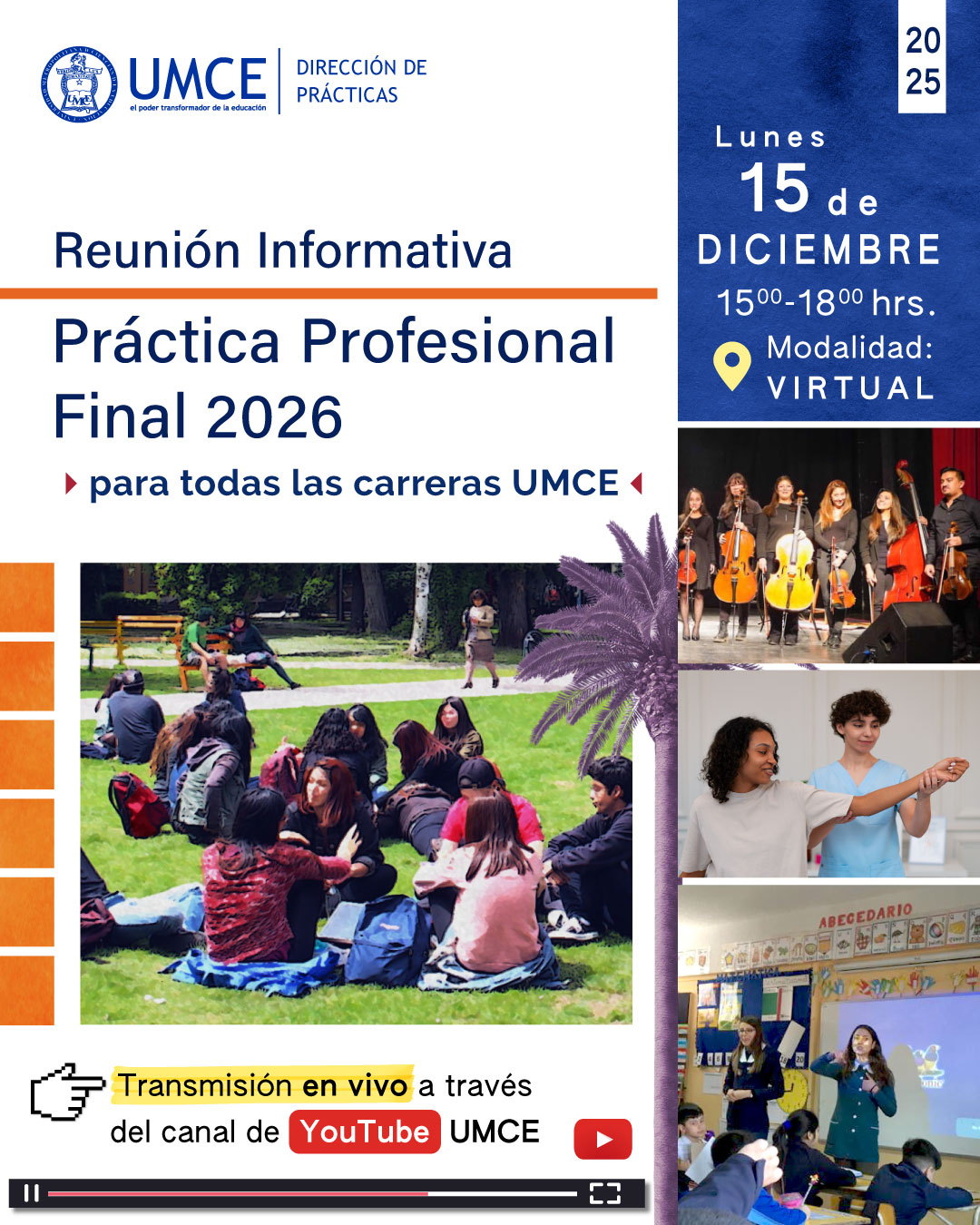 Práctica profesional final 2026