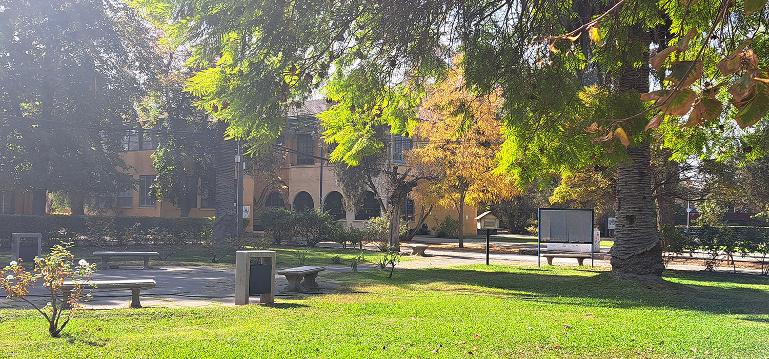 pastos centrales 001