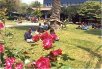 II Seminario "La promoción de salud en la formación inicial docente" 3cc3ea028ec2c5bc49d14fb381a9929f 43b