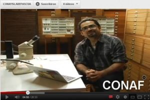 96e5c789d9b8bf3a9e86699e2b445aec 8b5