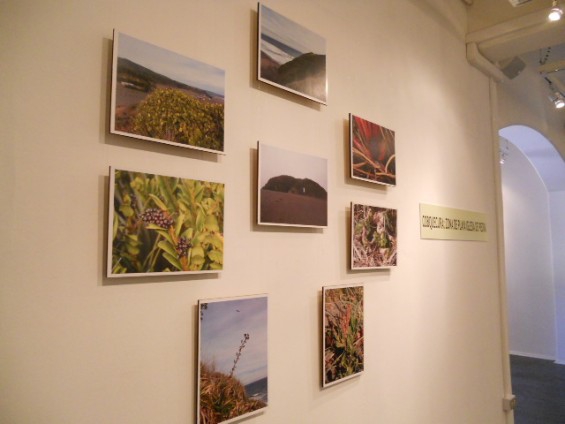 0e0e83a31054e8919990f9e9c3a6da47 2e7