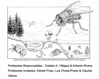 2d8edb28c6792cb00bf850749758d146 8be