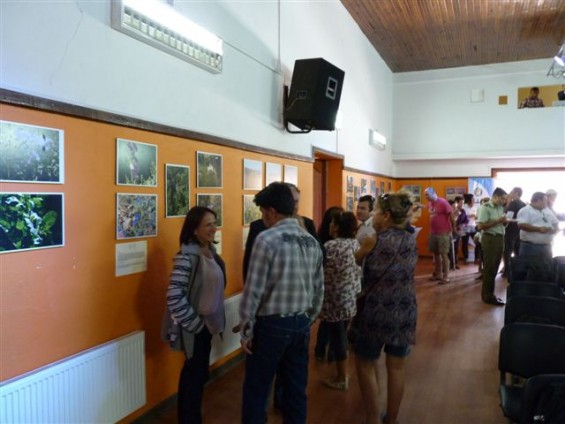 9cb6e71fd379c0a6d58ef216f9910ae9 9ca