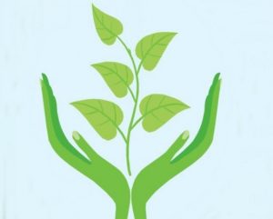 094d739d968df36a87418643dcb9d4ac 8cc