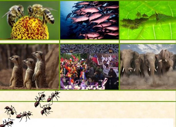 91650abe72b74891ce17dffa3726f716 4af