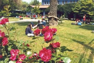 94ae6d3810d6b4d1b169793b928c343e cc3