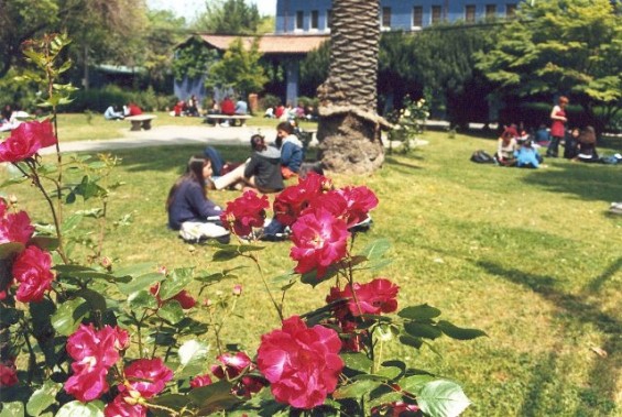 29 de mayo: Inician ciclo de charlas “Abriendo Puertas” UMCE — 94ae6d3810d6b4d1b169793b928c343e cc3