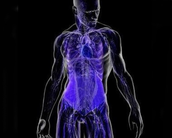 0e055015385980da4e111a90c5284edc 250