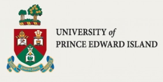 a8bfce1b35b25b98e185785e8a683747 d5e