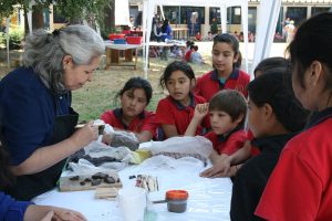 6783792c7419427295335dc3ce02b000 1c1