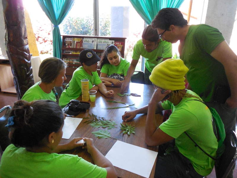 5d9106cd3b26b3ecac196958778c9f70 fa4