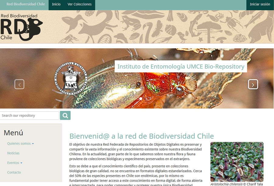 e8254cdf6a60c0aacb685c6fcaf4d937 fcb