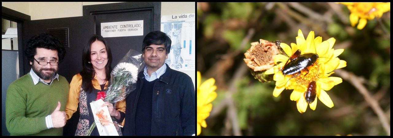 d9fc17f32b375e9eeed63a6c2d3200a4 97a