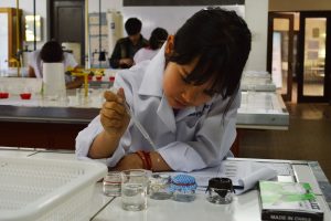 bd5b551e7d6b7885a6be84801d23aa11 0ef