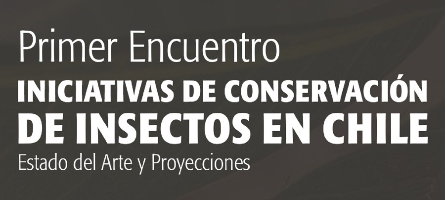 de86de6dd0ff42518b92ff340c3ce04a 8bd