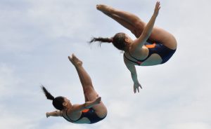 652db931b03434af33c6ed02458509c9 351