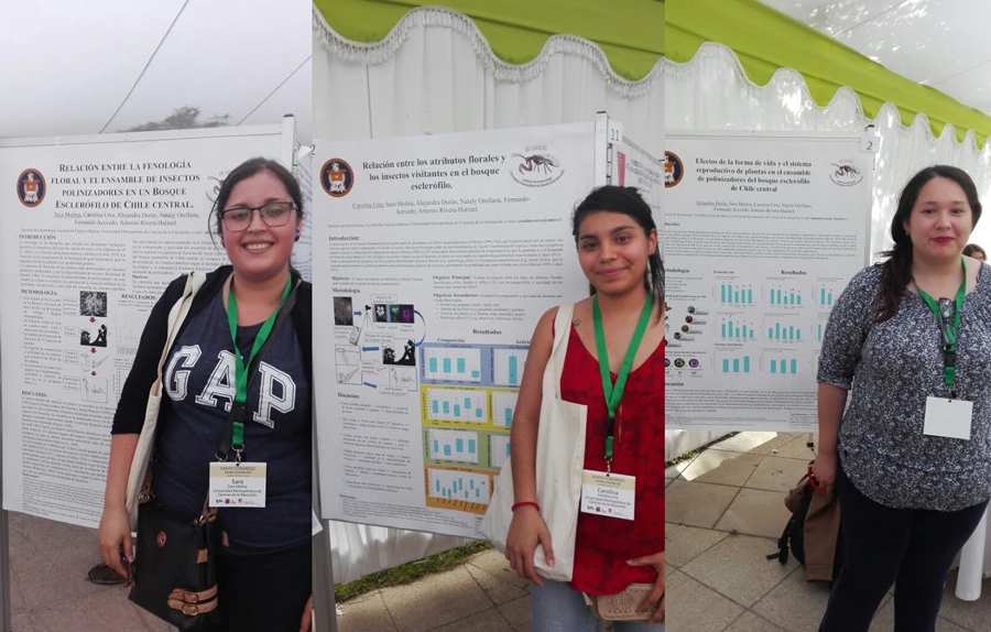 6eee9cef32f7f18cecc8f9db6a2c7e09 ec0