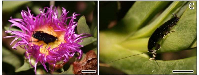 c5ff96fb97edac027aeac4245dff5849 74f