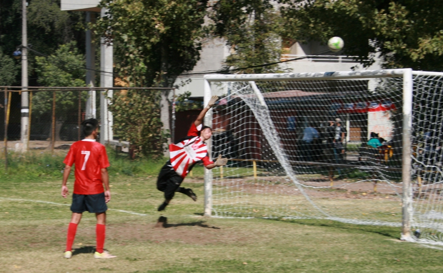 e0bbeffcf6eb772914c2e44f5eec25e6 531