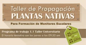 91e55df919b08f537b1e486fe1bab4ac 536