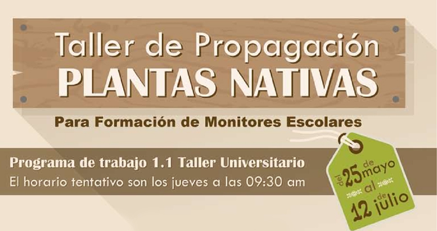 91e55df919b08f537b1e486fe1bab4ac 536