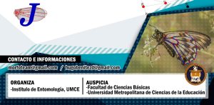 8c36b6b6d4eac8bb8839812d08c9c39c 986