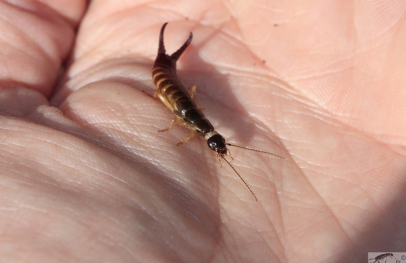 084e87a704762fed2247732a795060ad d2c