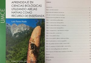 1e6ef7c4a5e387b481a69fb9f361c278 bb8