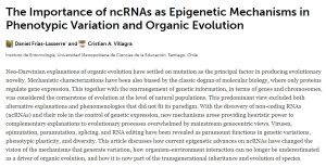 Noticias 9ad7d231a57dcffaa99d5f95d8204ef3 4d4