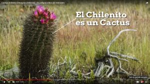 730d5f805420cce4bd7b45fd725036c0 c66