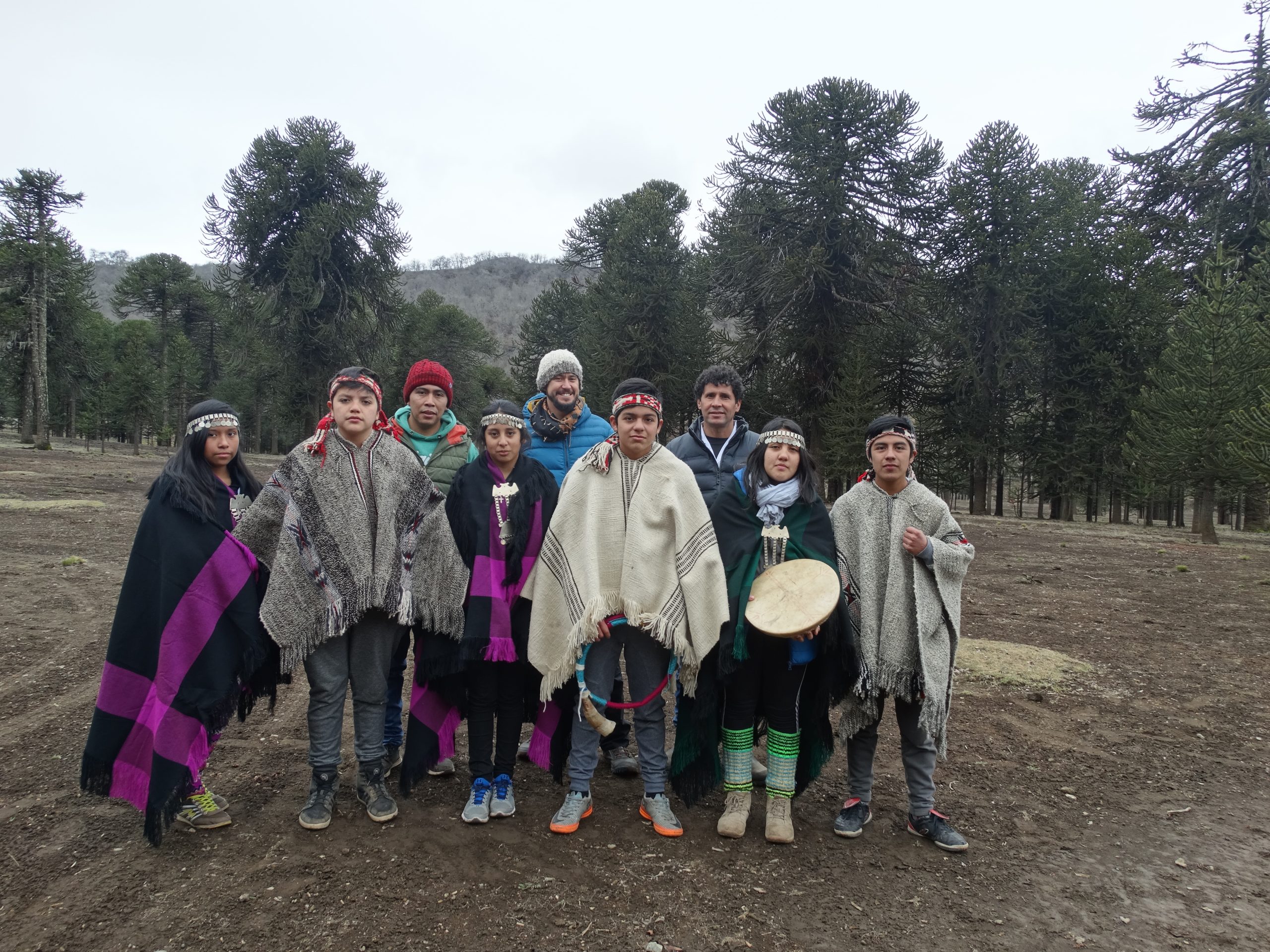 UMCE &mdash; Curriculo 360 Alto Bio Bio Esc Ralco Lepoy Junio 2017 ed4 scaled