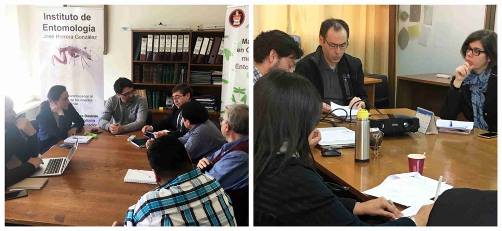 Programas de Doctorado en Educación y Magíster en Ciencias mención Entomología inician proceso de autoevaluación para su acreditación ef5a1e9409d1f4c3a747bfe56a864be4 4ca