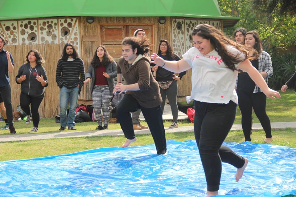 UMCE &mdash; imagen2 e8a