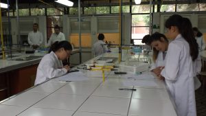 Noticias f07a9e9336acb0326ee51c81a1c599bb 45d