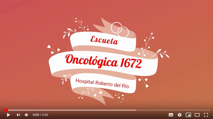 UMCE &mdash; video escuela hospitalaria 218