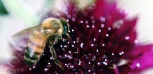 Noticias 13d7a3398dc7b388aef2399aed0ae945 71f