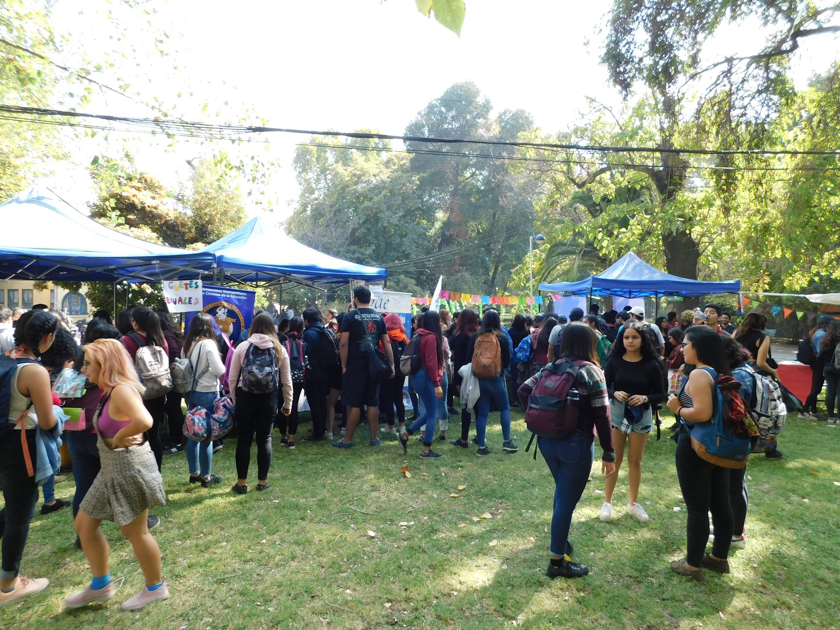 UMCE &mdash; 55564164 2292500521038853 4929045322342072320 o 84b