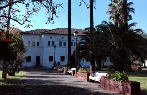 805338ee0c44c245d337ce49024f6eab bff