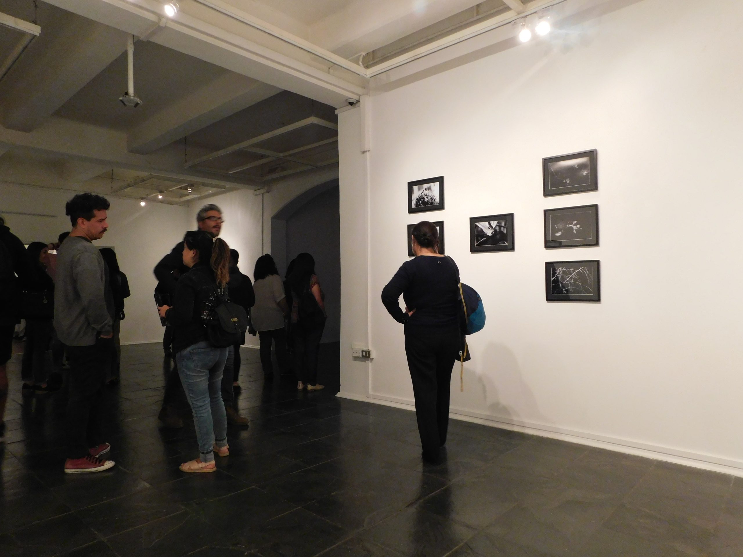 UMCE &mdash; DSCN0213 fcf scaled