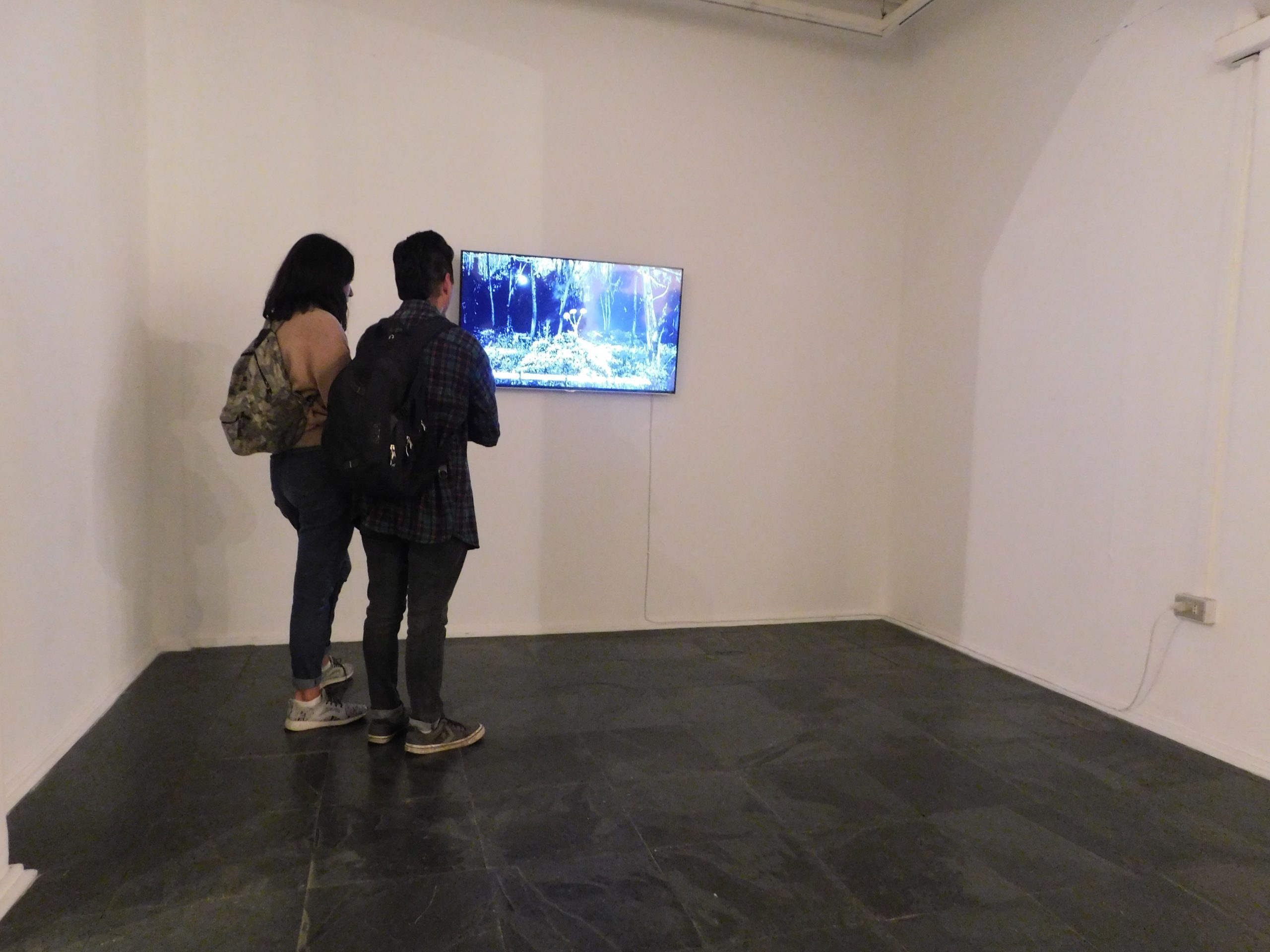 UMCE &mdash; DSCN0216 341 scaled