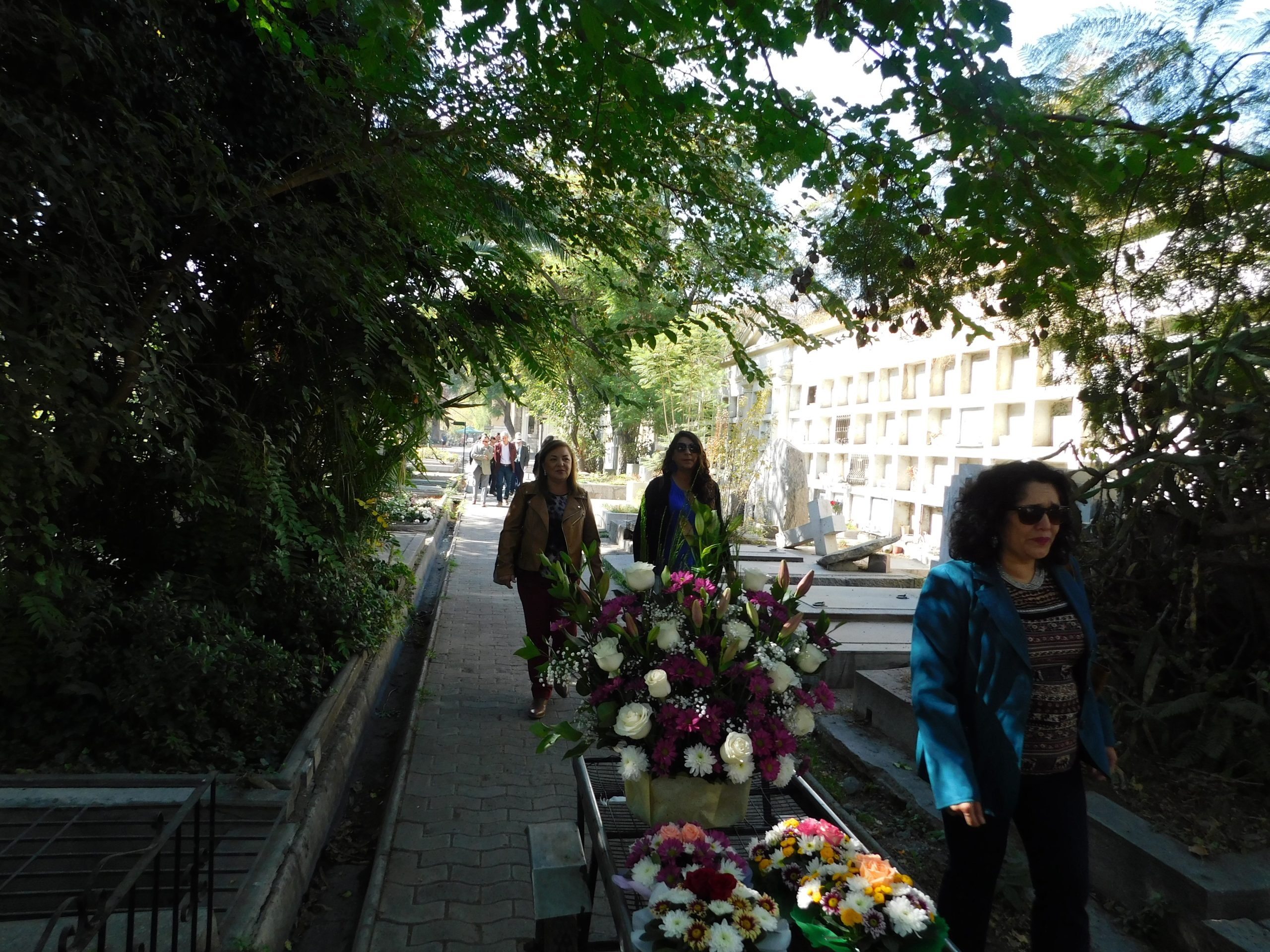 UMCE &mdash; DSCN0274 988 scaled