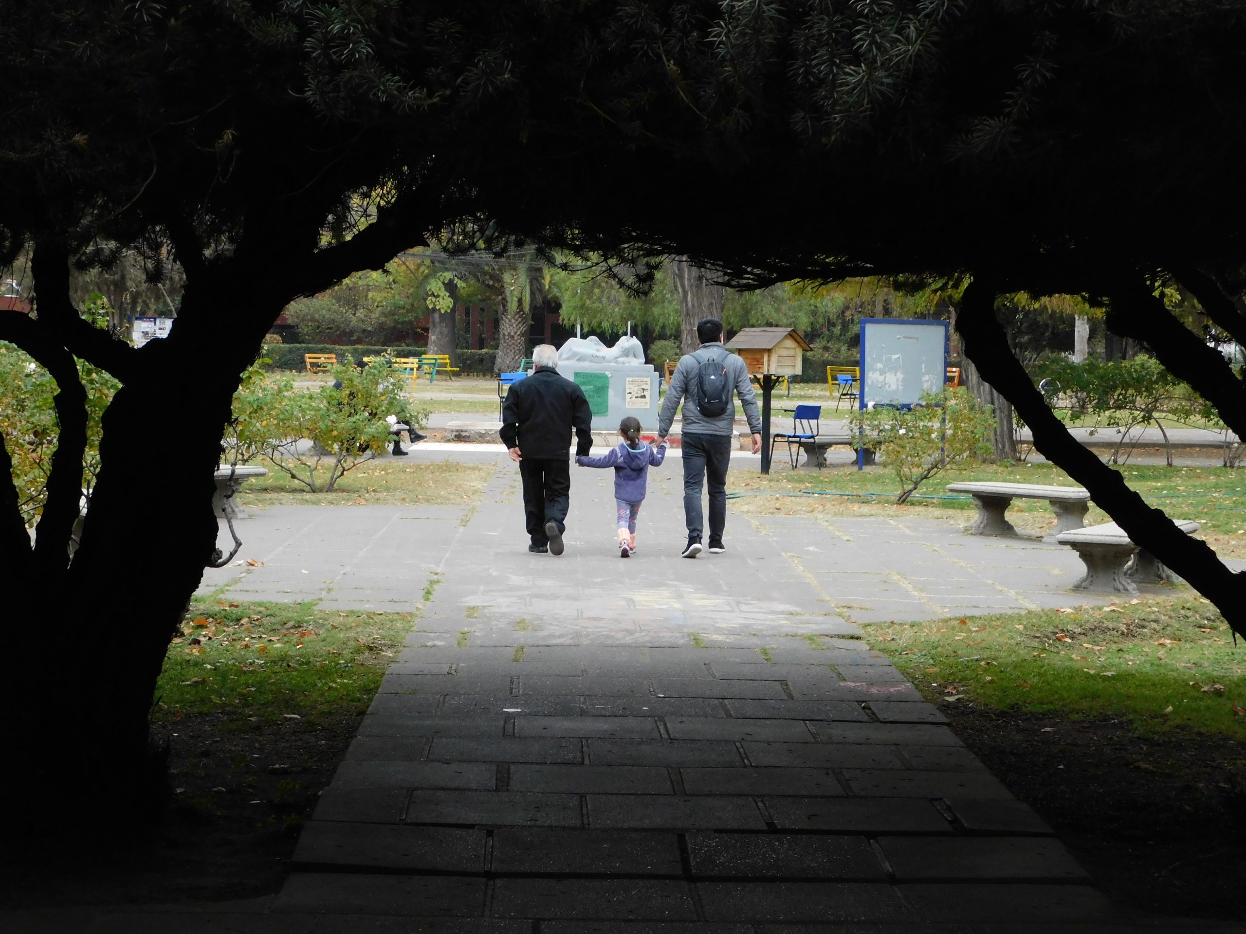 Más de 400 personas visitaron la UMCE en el Día del Patrimonio cultural UMCE — DSCN1496 773 scaled