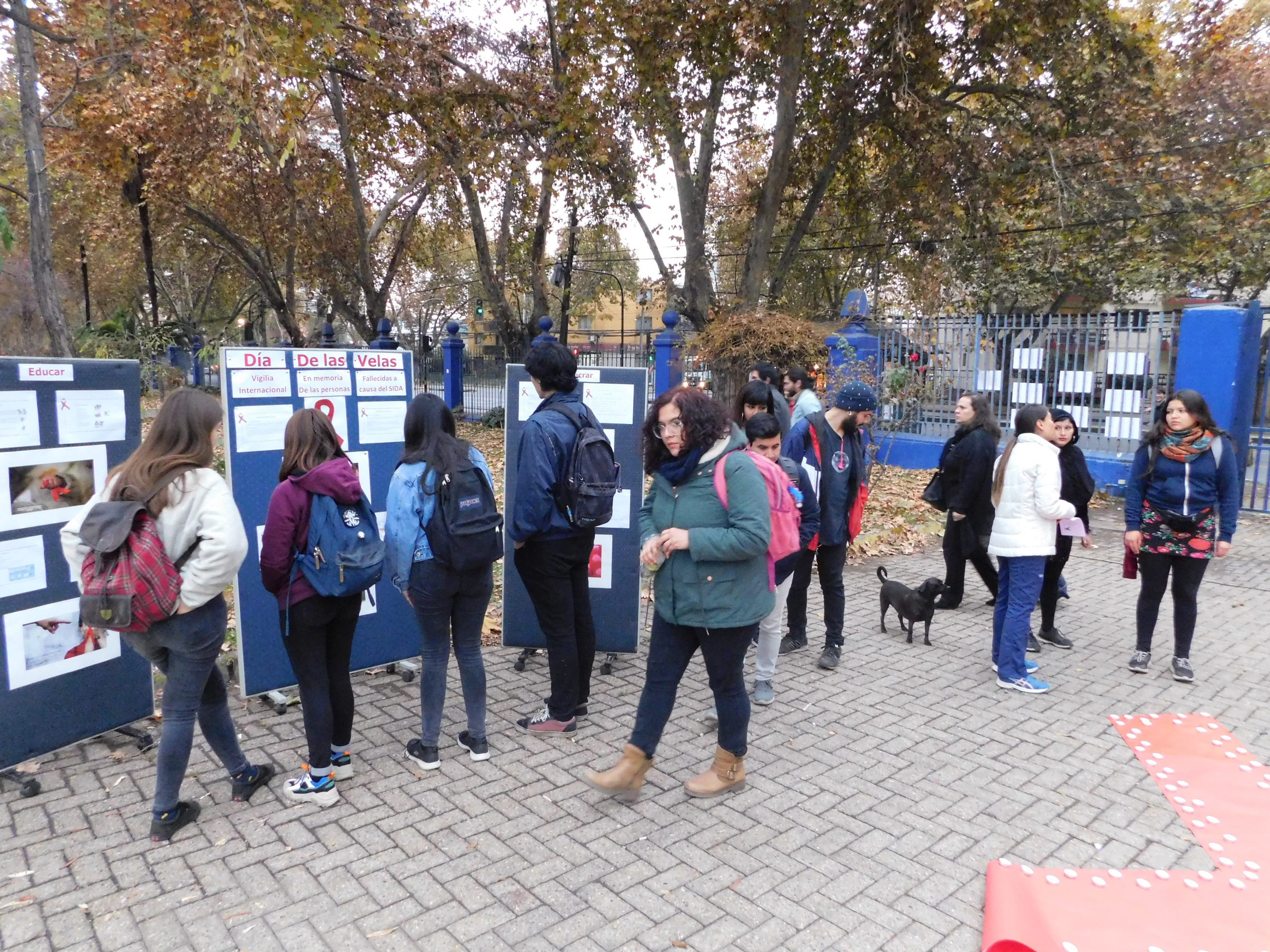 UMCE &mdash; DSCN1781 3fa scaled