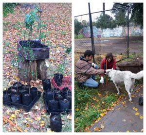 30af13a51cac937c28d30b84e498213a b83