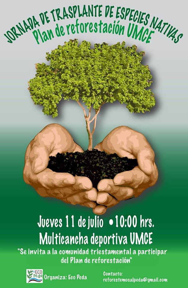 UMCE &mdash; ecopeda julio11 b13