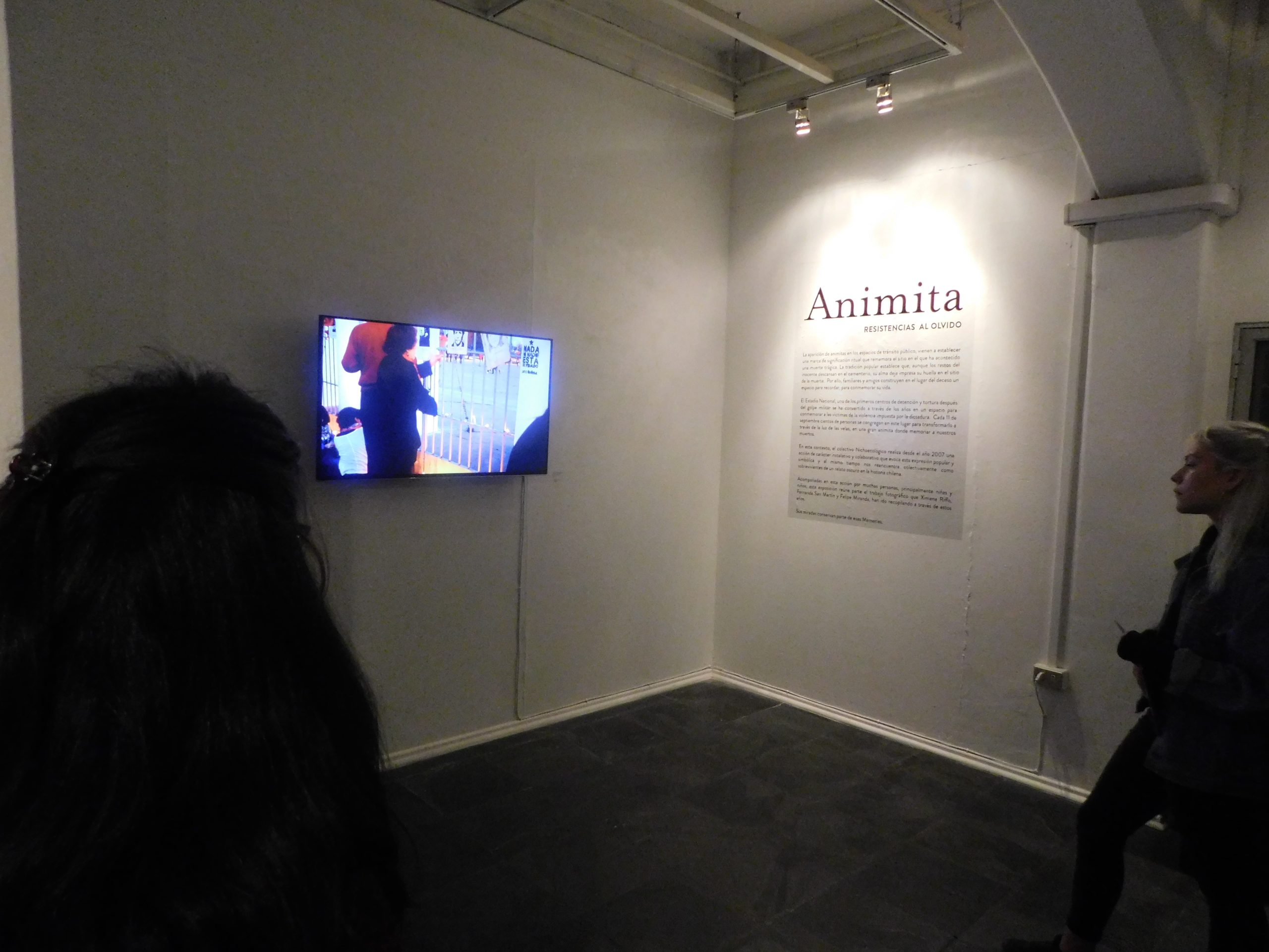 UMCE &mdash; DSCN4307 e01 scaled