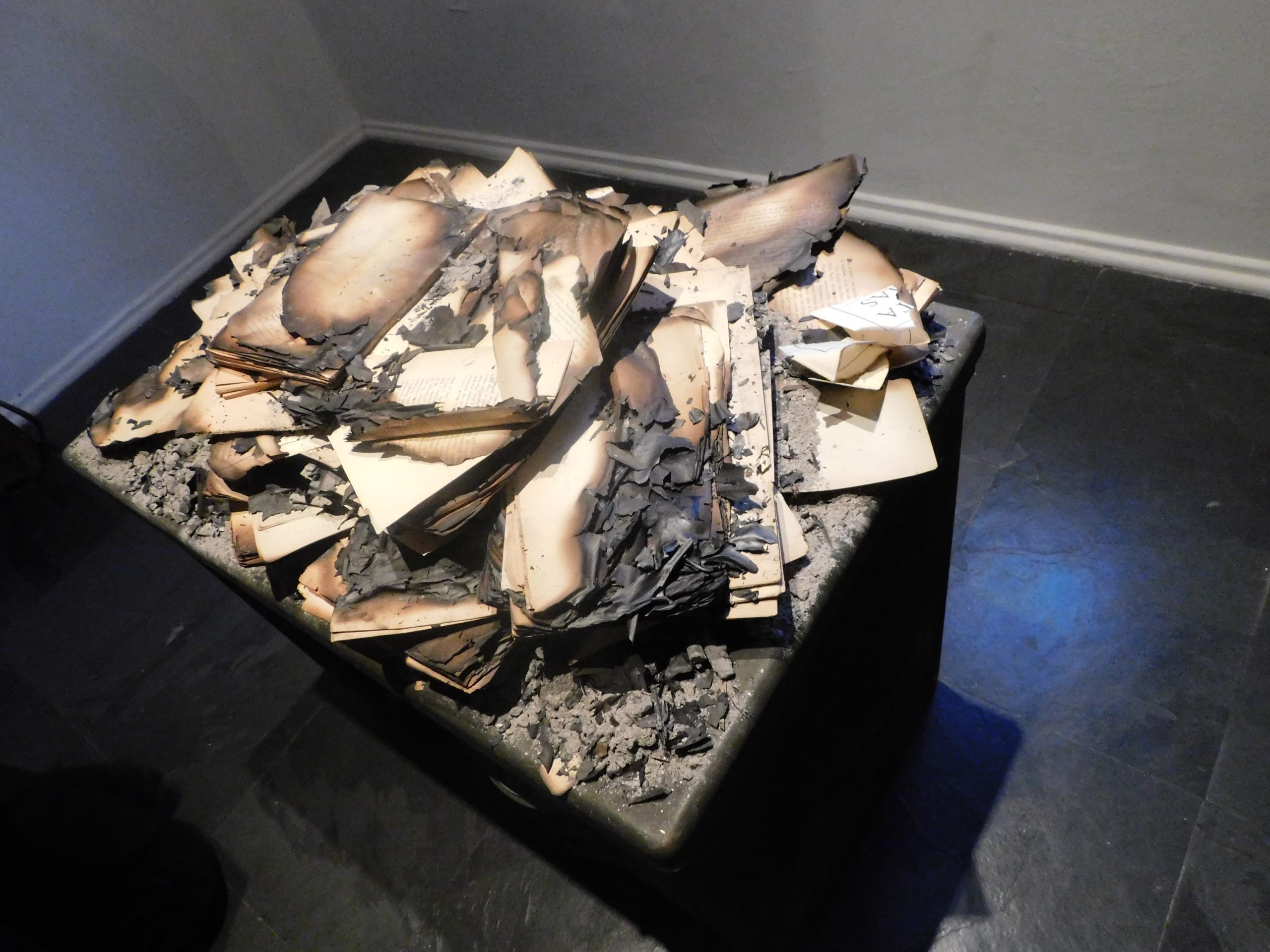 UMCE &mdash; DSCN4390 753 scaled