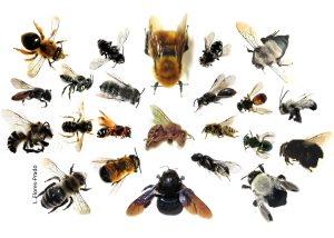 d8fc8a359accd7894dcbd989398acc9d 648