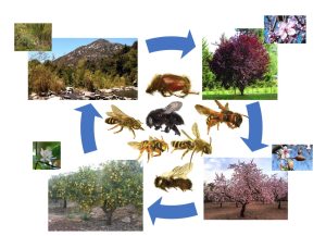 Noticias 181f88054488236c2679da41b7cf6faf 0a9